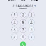 Picture Puzzle: How Many 3s Can You See On Mobile Dialing Pad