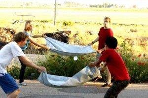 Family Toss: Party Game for Family Picnic